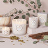 Eucalyptus Luxe Candle