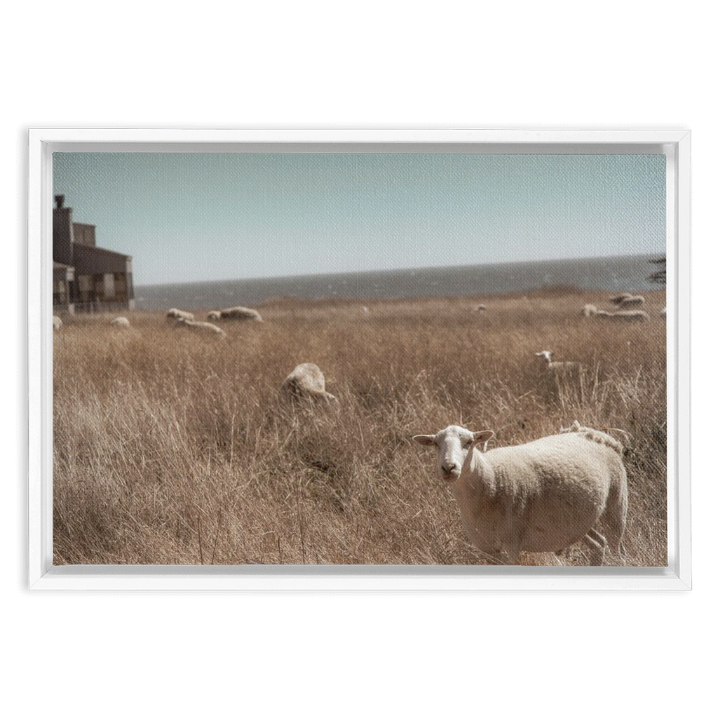 Sea Ranch Framed Canvas