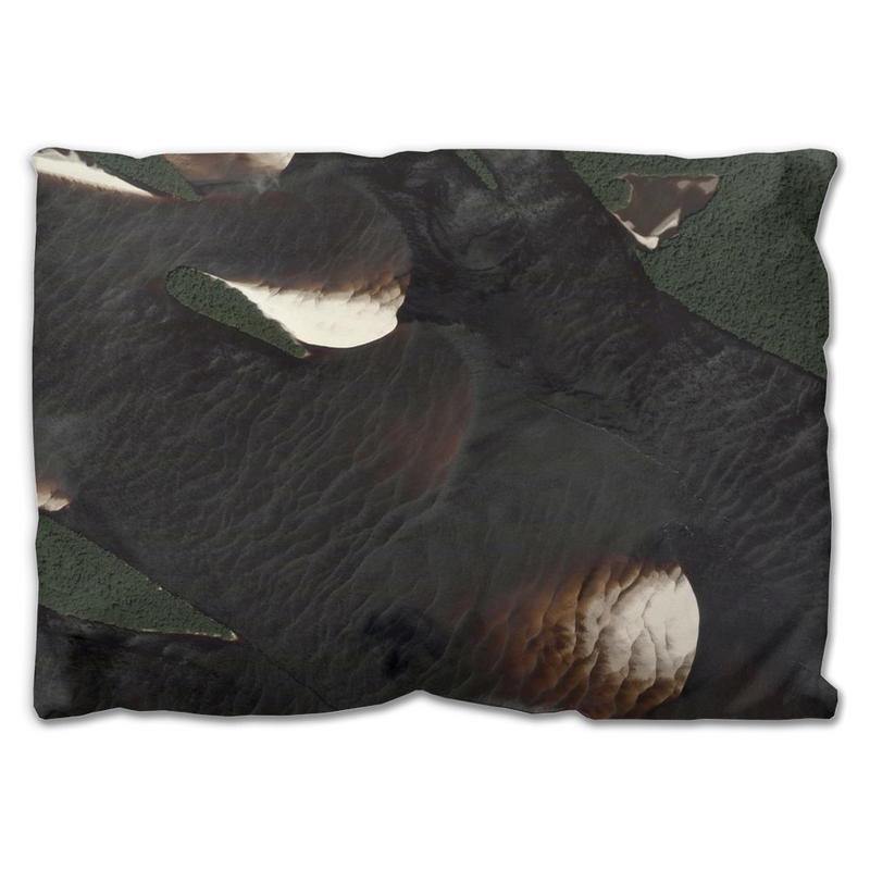 Cloud Cover Throw Pillow