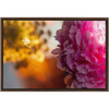 Floral Dream Framed Stretched Canvas