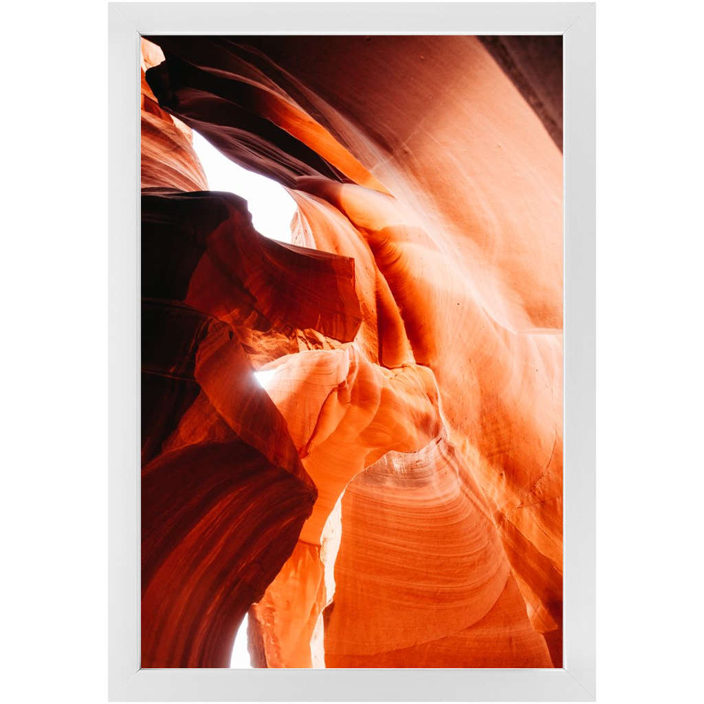 Antelope 2 Framed Print