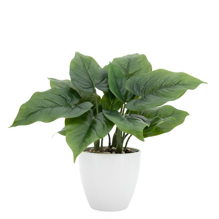 Villa Faux Potted 12" Plant - Calla Leaf