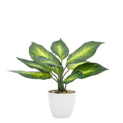 Villa Faux Potted 11" Plant - Dieffenbachia