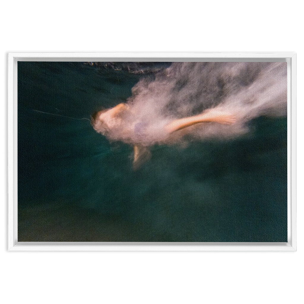 Night Dive Framed Canvas