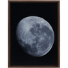 Bue Moon Framed Canvas