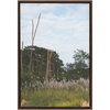 Meadow Framed Canvas