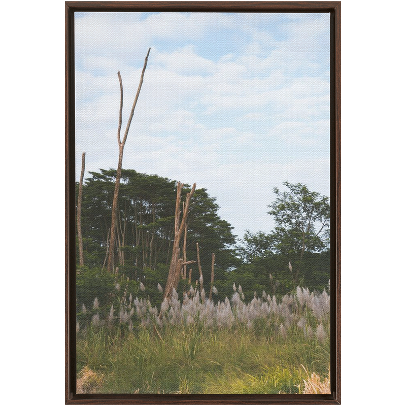 Meadow Framed Canvas