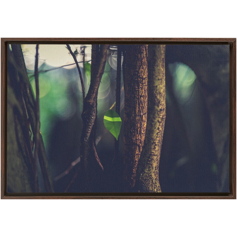 Leaf Framed Canvas