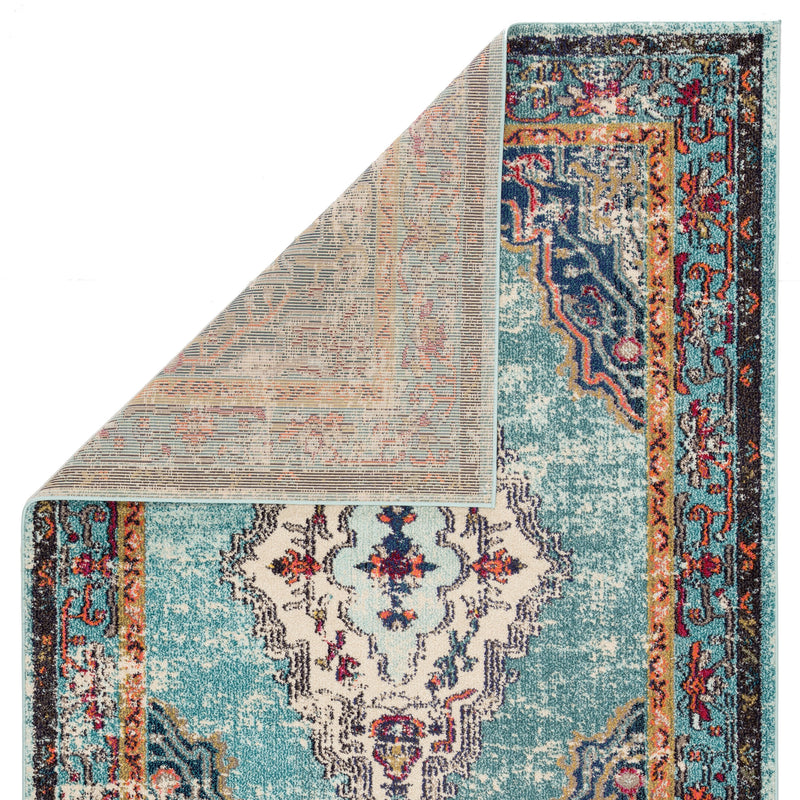 Caba Medallion Blue & Pink Area Rug