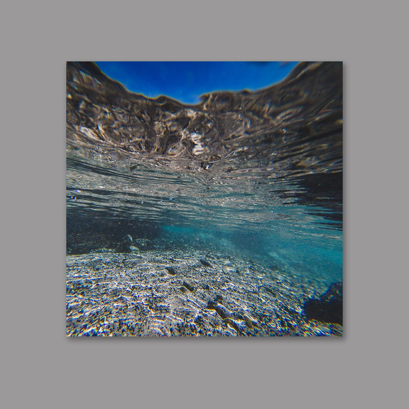 Aquatic Photo Print