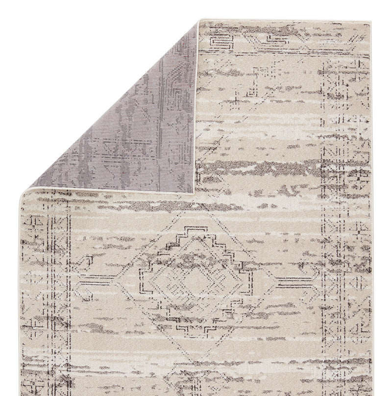 Artigas Devario Gray & Ivory Rug 3