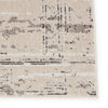 Artigas Devario Gray & Ivory Rug 4