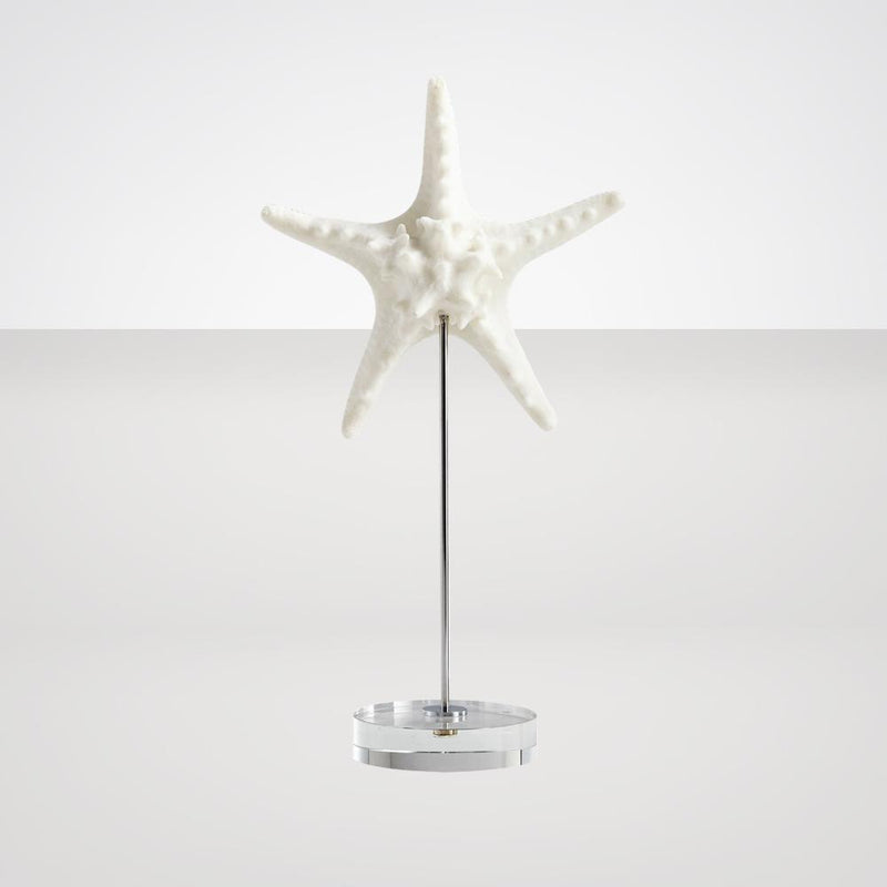 Asterina Sculpture in Various Sizes