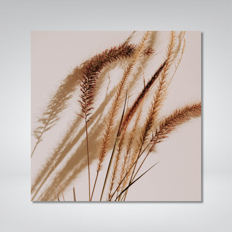 Aristida Photo Print