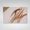 Aristida Photo Print