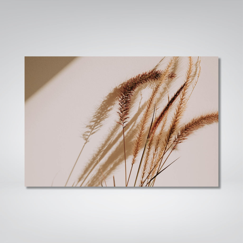 Aristida Photo Print