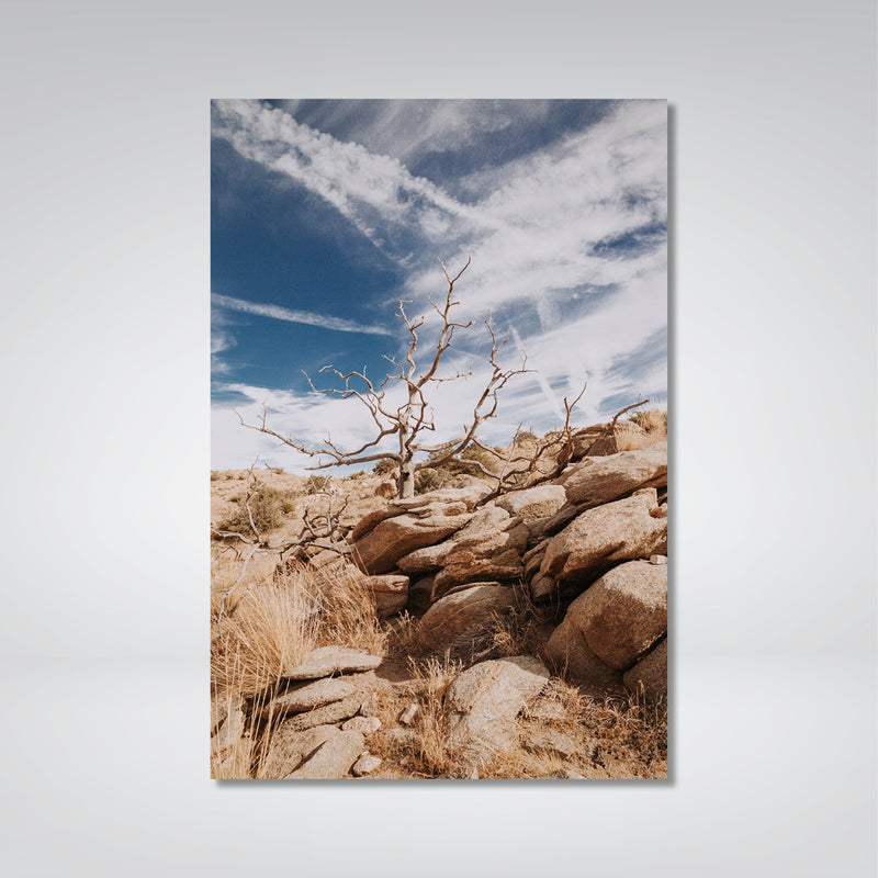 Desert Tree Photo Print