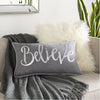 Believe BVE-001 Woven Lumbar Pillow in Charcoal & Metallic - Silver by Surya