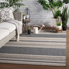 Pilot Indoor/ Outdoor Stripe Gray & Beige Area Rug