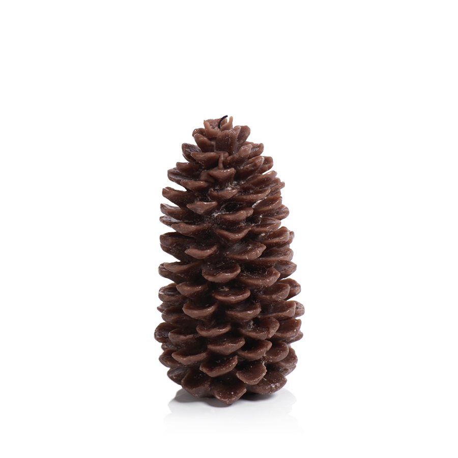 Pine Cone Brown 4 Piece Candle Set