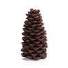 Pine Cone Brown 2 Piece Candle Set