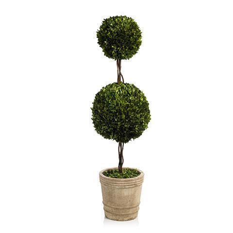 Double Ball Potted Boxwood Topiary