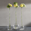 Long Neck Ball Shape Vase