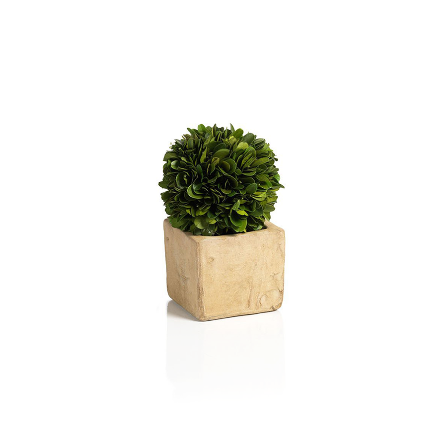 Colmar Boxwood Topiaries