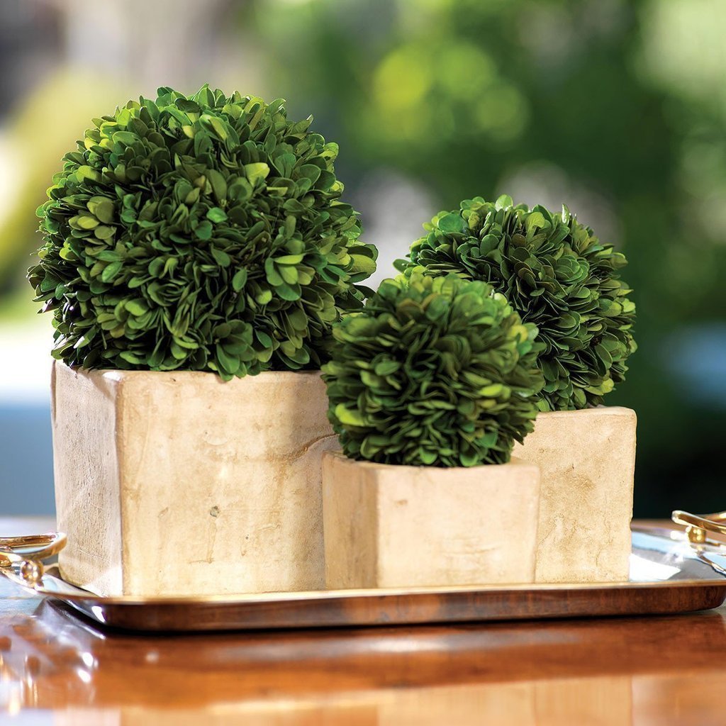 Colmar Boxwood Topiaries