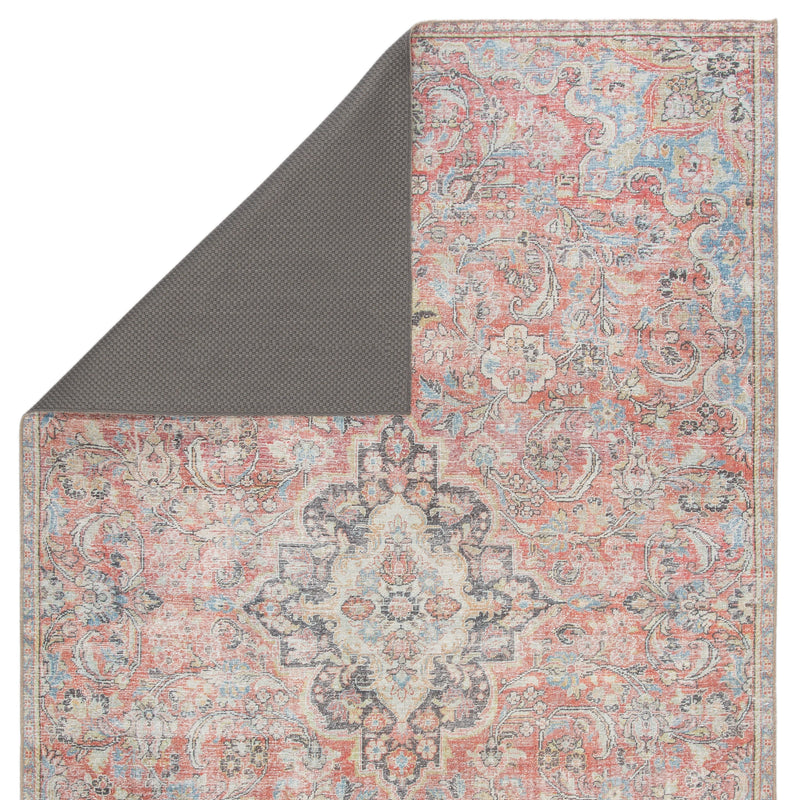 Foix Indoor/Outdoor Medallion Red & Light Blue Rug