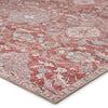 Aden Indoor/Outdoor Oriental Red & Gray Rug