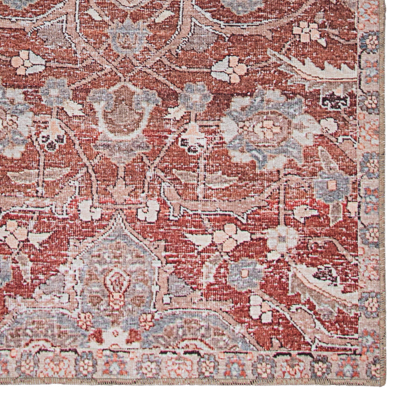 Aden Indoor/Outdoor Oriental Red & Gray Rug