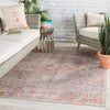 Kendrick Indoor/Outdoor Medallion Sky Blue & Pink Rug