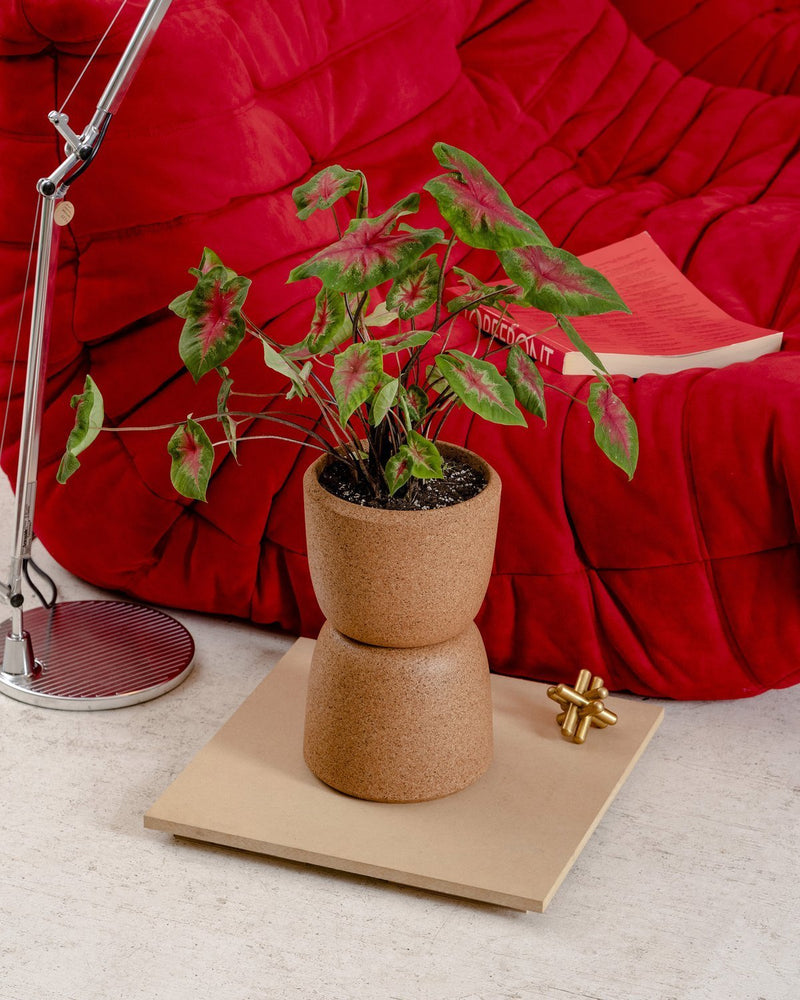 Cloud Planter