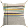 Dashing DSG-006 Hand Woven Pillow in Ivory by Surya