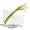 Ellipse Set of 2 Clear Vases