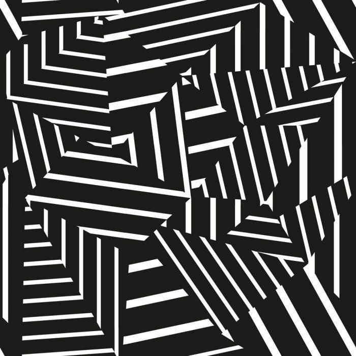 Dazzle Removable Wallpaper in Black and White