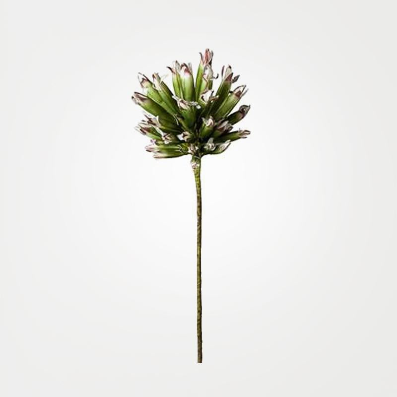 Desert Thistle Burst Stem in Dark Green