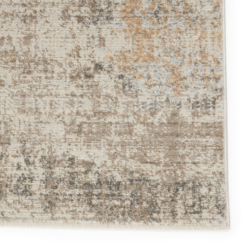 Airi Medallion Rug in Gray & Beige by Jaipur Living