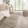 Airi Medallion Rug in Gray & Beige by Jaipur Living