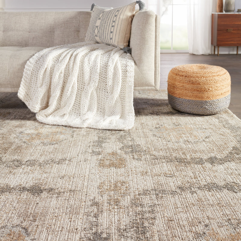 Airi Medallion Rug in Gray & Beige by Jaipur Living