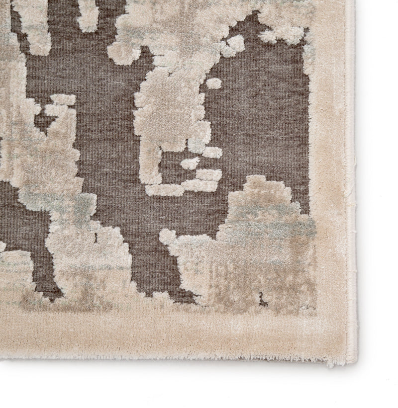 Blayne Ikat Area Rug design by Jaipur Living