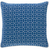 Fenna FEN-002 Woven Pillow in Sky Blue & White by Surya