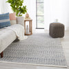 Galway Natural Trellis Slate & Ivory Rug by Jaipur Living