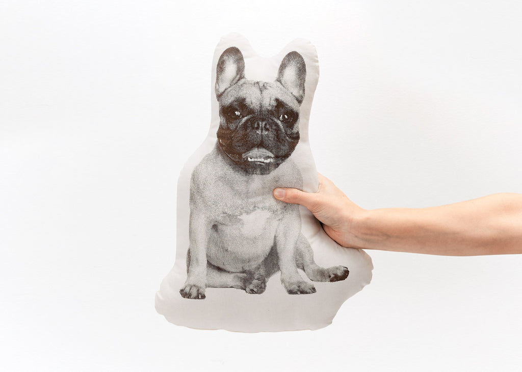 Fauna French Bulldog in Neutral