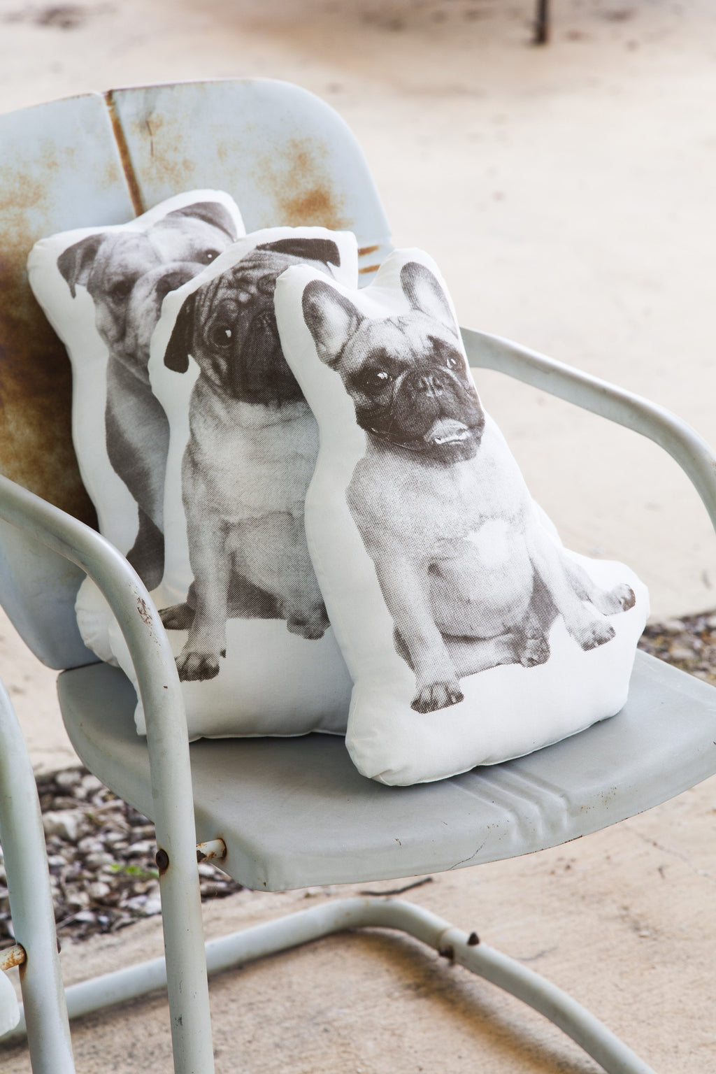 Fauna French Bulldog in Neutral