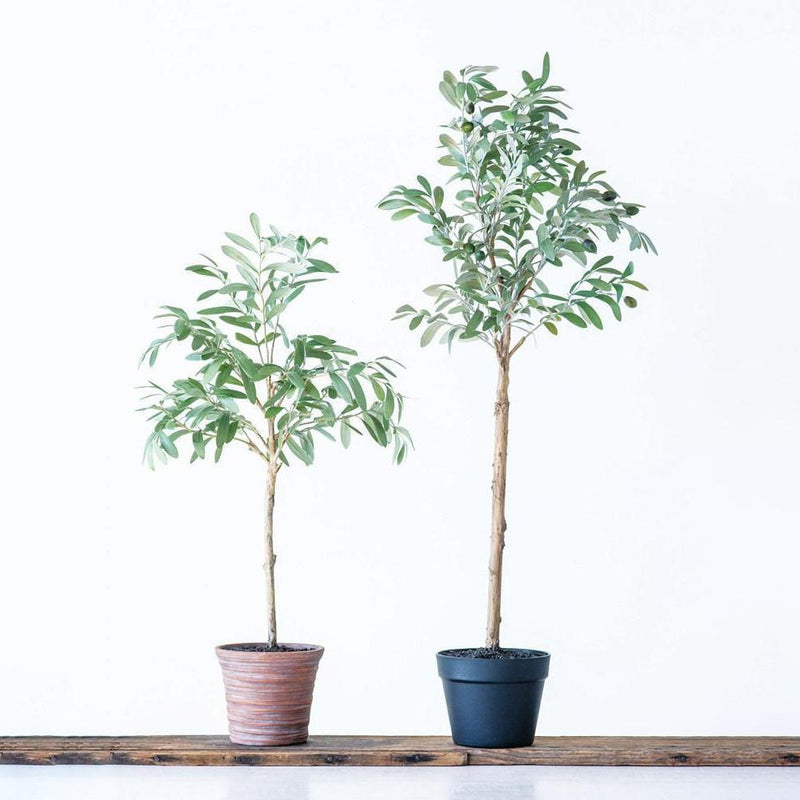 Faux Olive Tree in Terracotta Pot