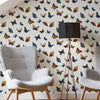 Flutterby Wallpaper in Multi from the Capsule Collection by Graham & Brown