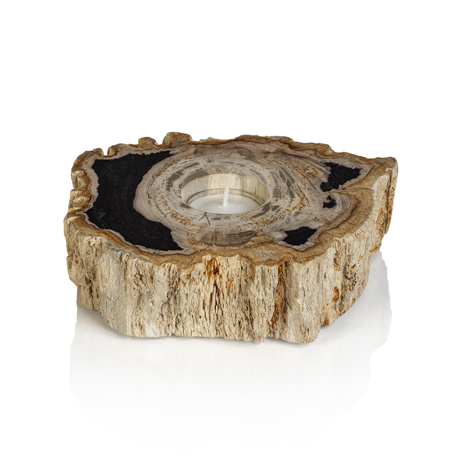 Fortaleza Petrified Wood Tealight Holder by Panorama City