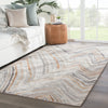 Sadie Chevron Rug in Feather Gray & Tannin design by Jaipur Living